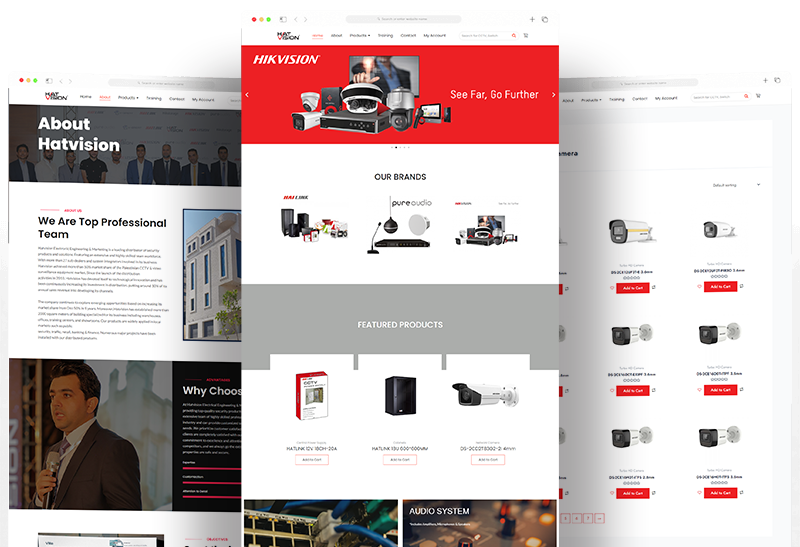 Ecommerce Website Development by AmroPixel